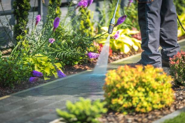 Best Driveway Pressure Washing  in Hastings On Hudson, NY